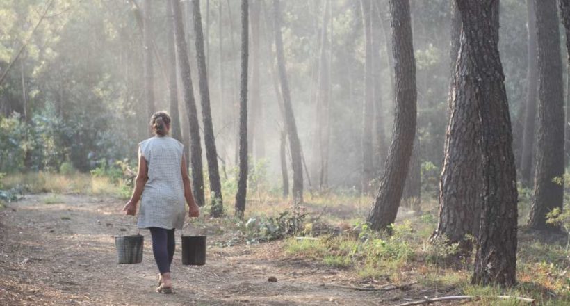 International researchers exchange experiences with the Pedrógão Grande Fire Victims Association